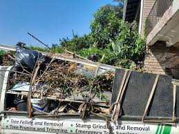 Best Dumpster Rental Services  in Mount Plymouth, FL