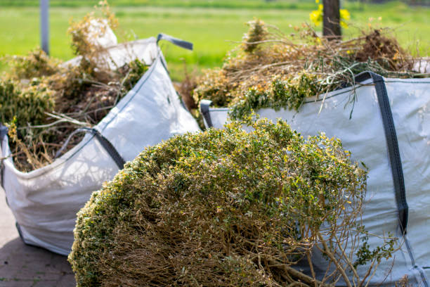 Best Residential Junk Removal  in Mount Plymouth, FL